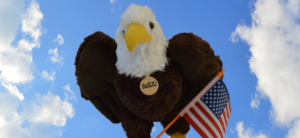 banner - blue sky w/clouds, eagle plush animal, black color, with white head neck, yellow beak, theZoo tag necklace, with small American Flag in front of it