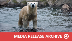 Click here for the media release archive
