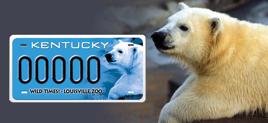 Polar Bear License Plate