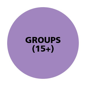 image - purple circle, groups (15+)