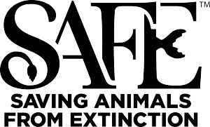 SAFE_logo-Black