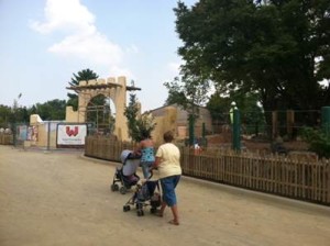 Pathway Opens at Elepgant Encounter at the Louisville Zoo