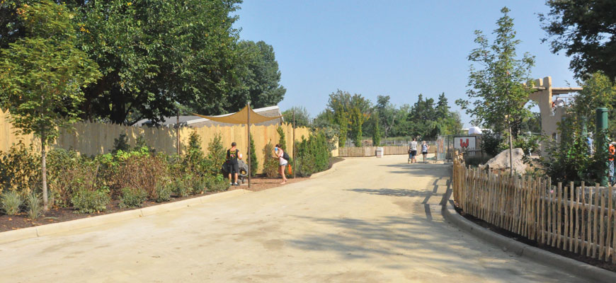 New Zoo Walkway Opens: Lions, Camels, Zebras Accessible Again | Louisville Zoo