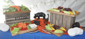 Fruit Spread at Event