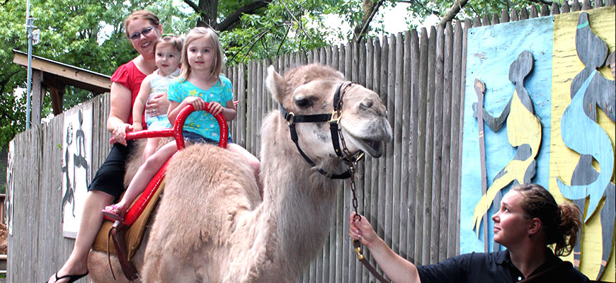 Camel Rides at the Louisville Zoo