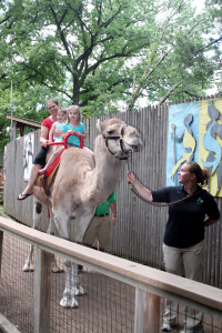Camel Rides at the Louisville Zoo, with keeper guiding the camel