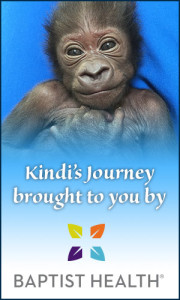 graphic - top has should/head shot of kindi, with concerned facial look, kindi's journey brought to you by logo baptist health