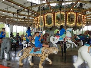 photo - day campers, riding horses, zoo animals, on the carousel