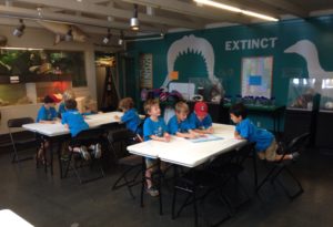 photo - classroom in the meta zoo, with Safari day campers, working together in a group, playing a hide and seek game