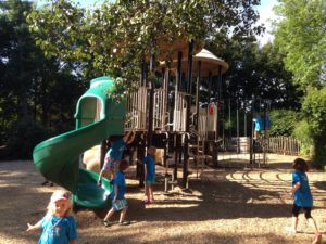 photo - safari day campers, playing in the playground, climbing, sliding, running, having fun on a sunny, summer day