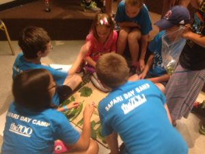 photo - Safari day campers, in classroom, looking/learning about wild survival with regards to foliage, leaves, what to do, or not do, with them