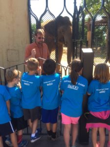 photo - Safari day campers, at elephant exhibit, listening to elephant keeper, telling them about elephants. in background is mickey