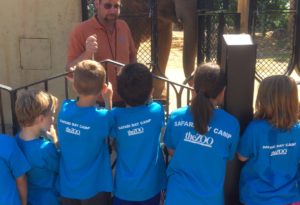 photo - Safari day campers, at elephant exhibit, listening to elephant keeper, telling them about elephants. in background is mickey