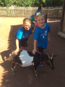 photo - Safari day campers, in blue camper t shirts, petting the goats in Boma petting zoo