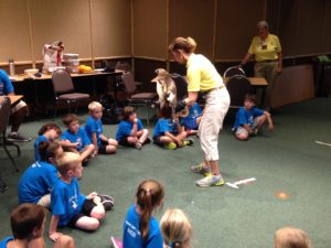 photo - zoo docent displaying backyard raptor to zoo day campers, boys and girls, in classroom