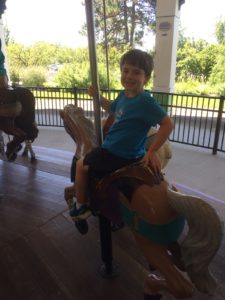 photo - Safari day camper, riding a horse on the zoo carousel