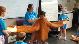 photo - zoo penguin cove camper, and a keeper, wearing a costume of orangutan's body, arms, hands to show other campers just how big, long their arms, hands really are