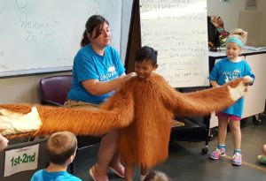 photo - zoo penguin cove camper, and a keeper, wearing a costume of orangutan's body, arms, hands to show other campers just how big, long their arms, hands really are
