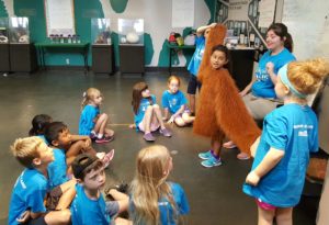 photo - boys and girls zoo day campers, with keeper counselor, displaying camper wearing costume of orangutan hair, which shows just how long their arms really are.