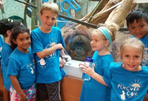 photo - boys and girls zoo day campers, in blue penguin cove t shirts, observing the orangutan, in the day room at the gheens building.