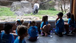 photo - summer day campers, wearing blue camper t shirts, checking out black and white whale tapir eating snack in their enclosure