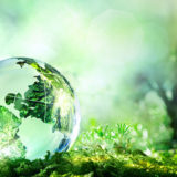 banner - blurred background of greenery trees, bushes, with glass globe reflecting the greenery that surrounds it