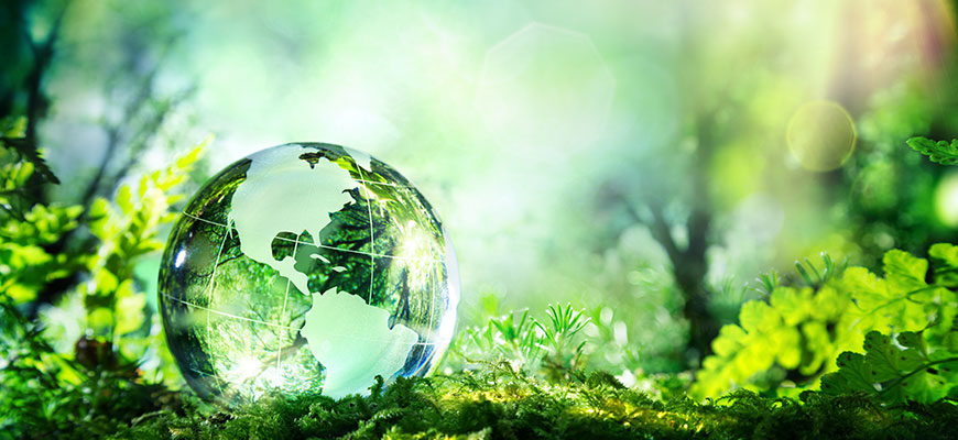 banner - blurred background of greenery trees, bushes, with glass globe reflecting the greenery that surrounds it