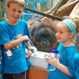 photo - group of boys, girls, summer day campers, in blue penguin cove t shirts, looking at the orangutan, in the day room in gheens building