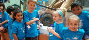photo - group of boys, girls, summer day campers, in blue penguin cove t shirts, looking at the orangutan, in the day room in gheens building