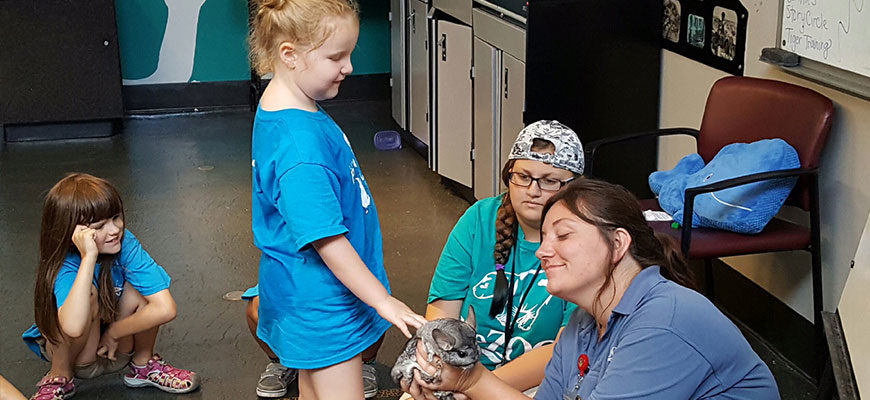 photo - keeper holding chinchilla, for zoo campers to pet with volunteer helping