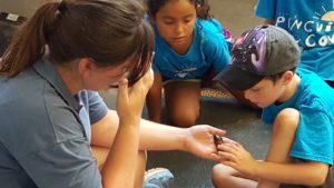 photo - keeper showing whale cockroach, to group of zoo day campers