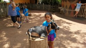 photo - zoo day campers, boys, girls, playing in boma, petting the goats sitting around