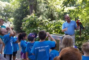 photo - bird keeper, showing a colorful red headed macaw, to a group of zoo day campers, wearing blue camper t shirts, on a sunny summer day, with counselors observing the group
