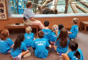 photo - boys and girls, who are zoo day campers, checking out the orangutans, with the keeper, giving them information about the animal