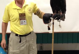 photo - louisville zoo docent, giving a raptor presentation, raptor is all black feather, with red facial face, white beak