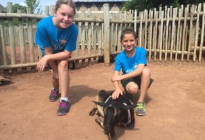 photo - boy and girl zoo day camper, blue t-shirt, petting goat in boma petting zoo for kids