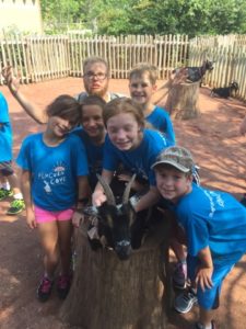photo - boys, girls, day zoo campers, blue t-shirts, petting goats in boma petting zoo