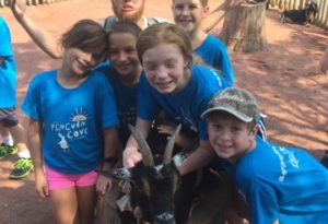 photo - boys, girls, day zoo campers, blue t-shirts, petting goats in boma petting zoo