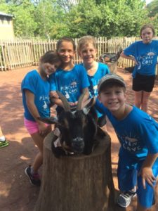 photo - boys and girls zoo day campers, penguin cove blue t-shirts, petting black goat, with horns, sitting on tree trunk