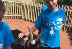 photo - young girl zoo day camper, pengin cove t-shirt, petting black goat in boma petting zo