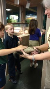 portland elementary students pet ferret