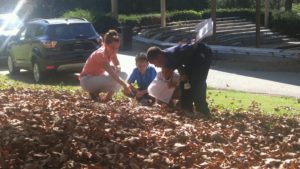 Portland students find ants in the leaves