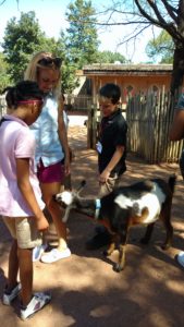 Portland students visit petting zoo