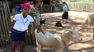 Portland students visit petting zoo