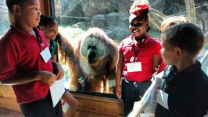 Portland students visit the Orangutan