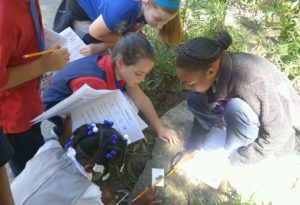 Cane Run students find ants in the dirt