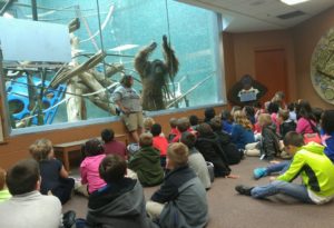 wilt students learn about orangutan