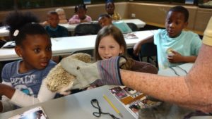 maupin students pet hedgehog
