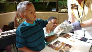 maupin student looks at hedgehog