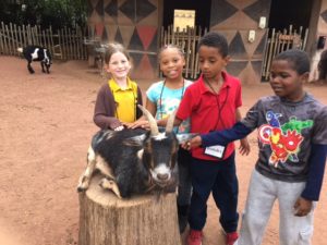 maupin students pet goat on tree stump